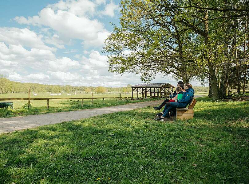 Familie auf einer Bank im Wildpark Schorfheide