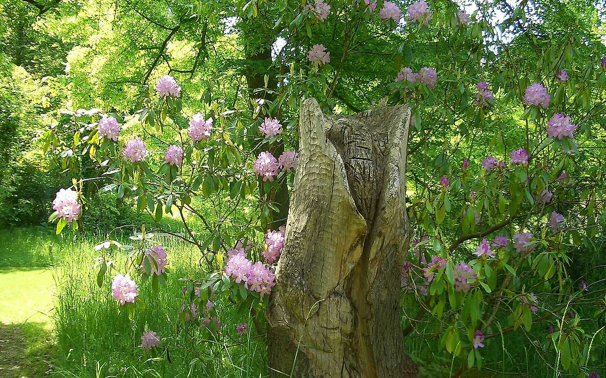 Blühender Rhododendron hinter einer Skulptur aus Holz