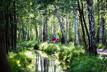 Radfahren im Spreewald