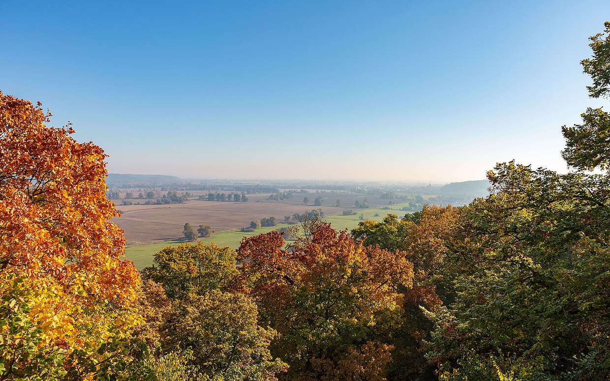 Oderbruch bei Bad Freienwalde