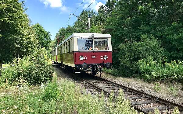Buckower Kleinbahn