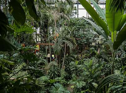Tropenhalle, Biosphäre Potsdam