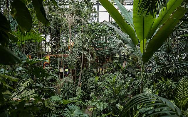 Tropenhalle, Biosphäre Potsdam