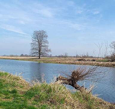 Oderbruch bei Lebus