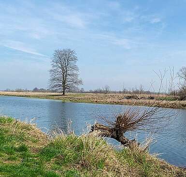 Oderbruch