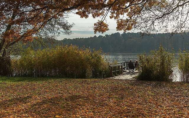 Der Schermützelsee bei Buckow