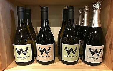 Wein vom Wolkenberg im Lausitzer Seenland