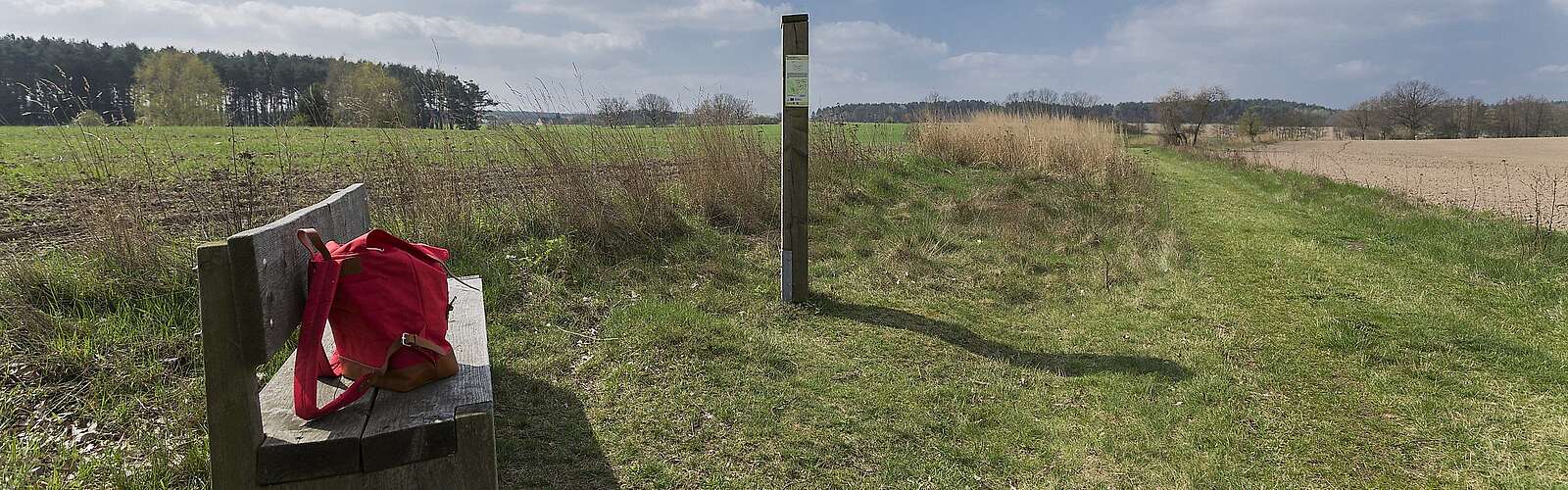 Unterwegs auf dem Rundweg 41 im Naturpark Hoher Fläming.