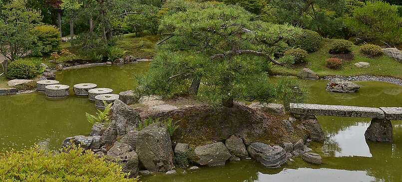 Japanische Gartenkultur im Bonsai-Garten Ferch
