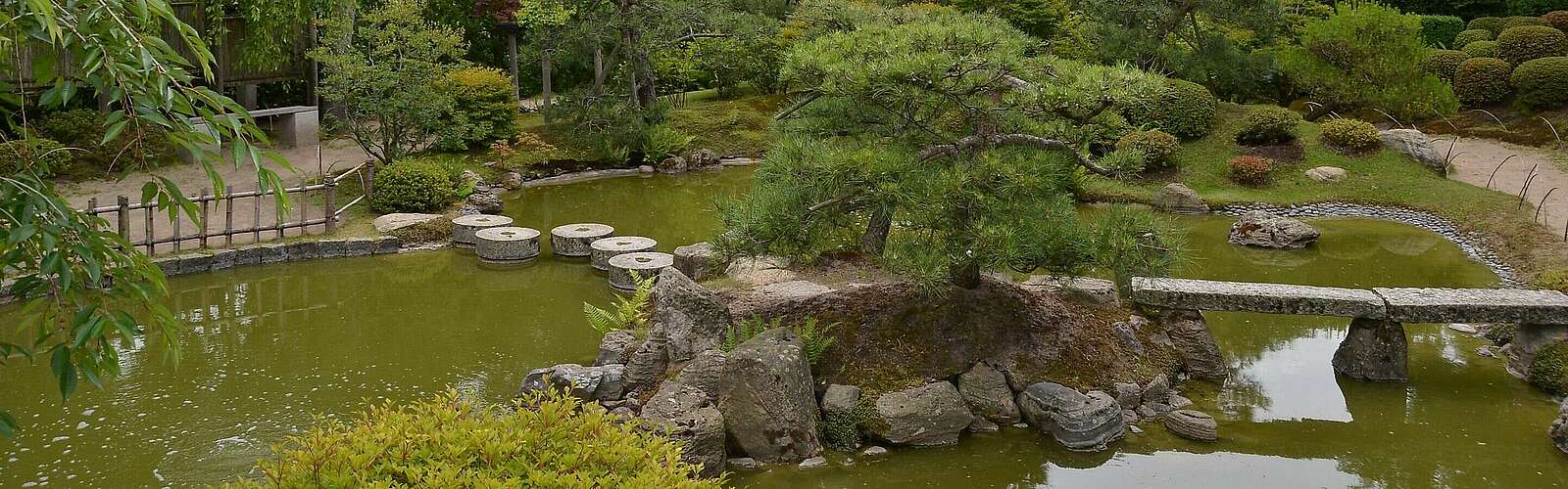 Insel mit Kiefern im japanischen Bonsaigarten,
            
        
                Foto: TMB Tourismus-Marketing Brandenburg GmbH/Matthias Schäfer