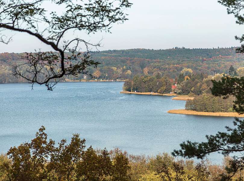 Blick auf den Schermützelsee bei Buckow