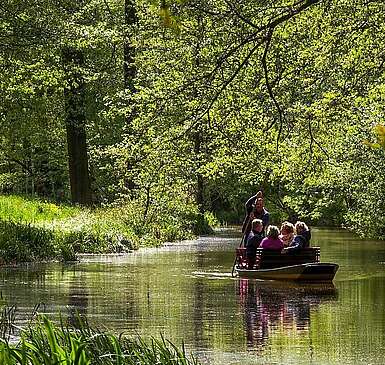 Gemütliche Kahnfahrten im Spreewald