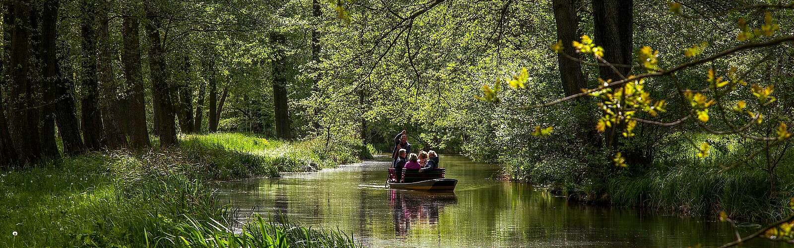 Kahnfahrt durch die Spreewaldfließe,
            
        
                
                
                    Foto: Peter Becker