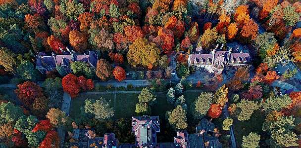 Beelitzer Heilstätten mit Herbstwald