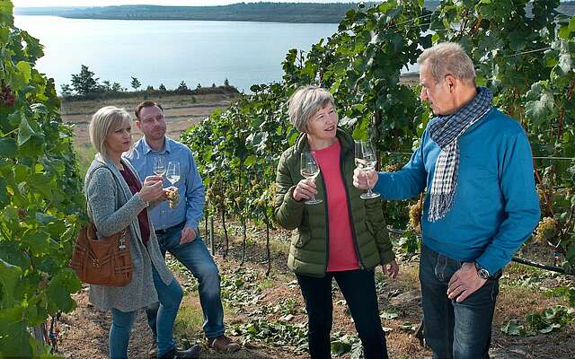 Weinbergführung auf den IBA Terrassen