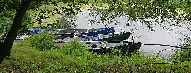 Kanutour durch die Wildnis an der Oder