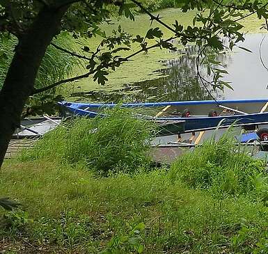 Kanutour durch den Nationalpark Unteres Odertal