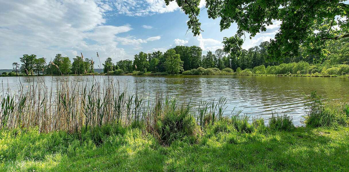 Blick auf den Schwielowsee