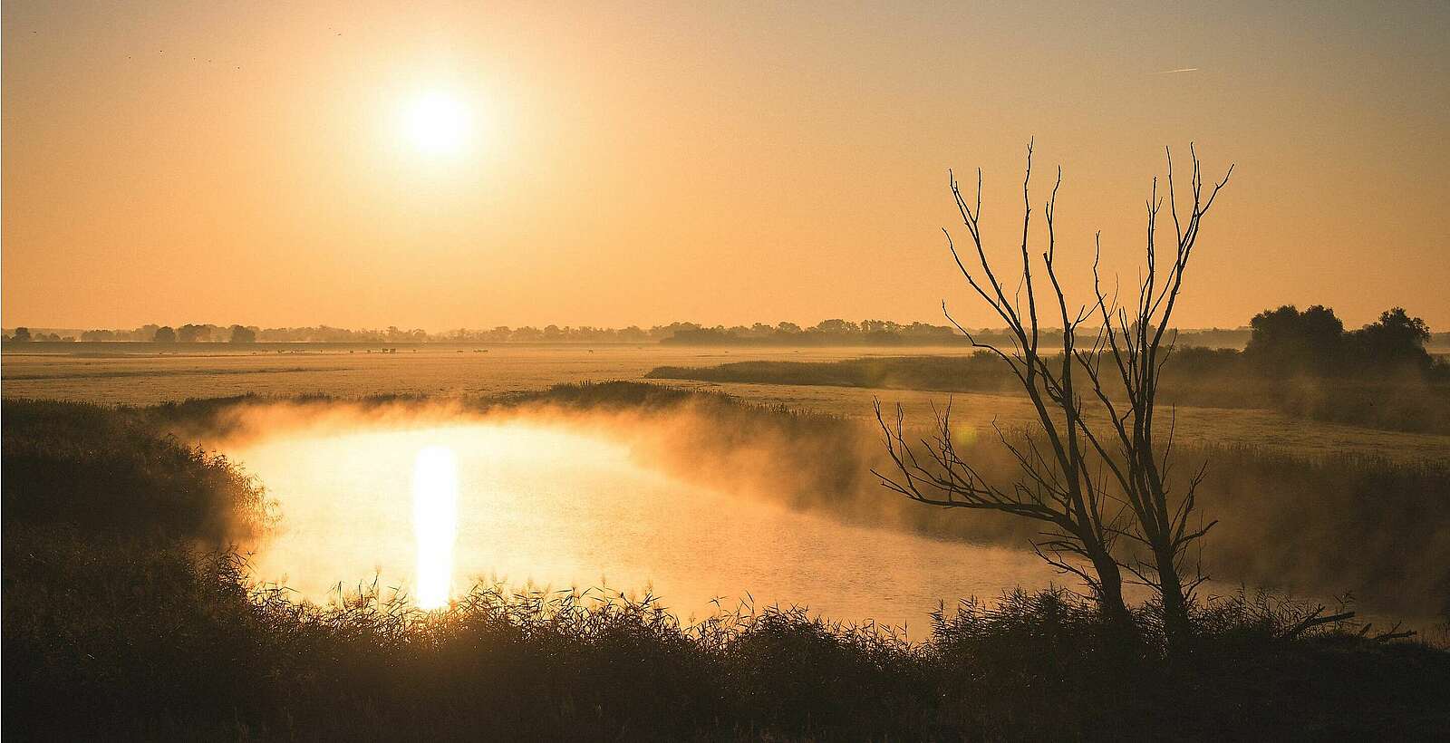 Blick auf die Elbe,
            
        
                Foto: prignitzliebe/Anja Möller