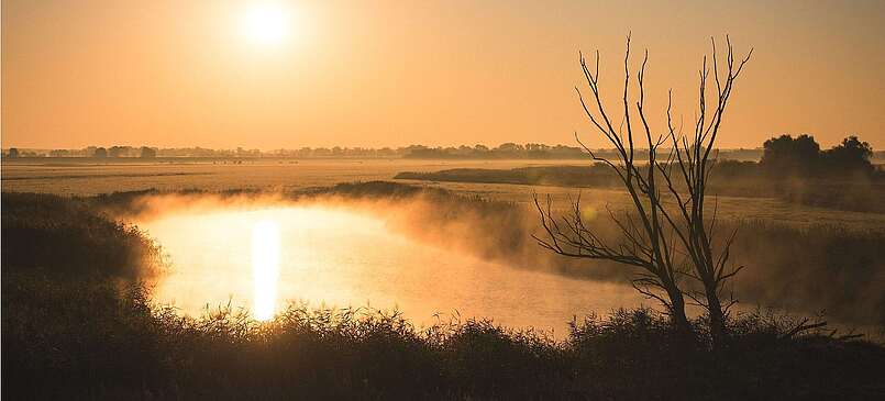 Wanderung durch die Auenwildnis