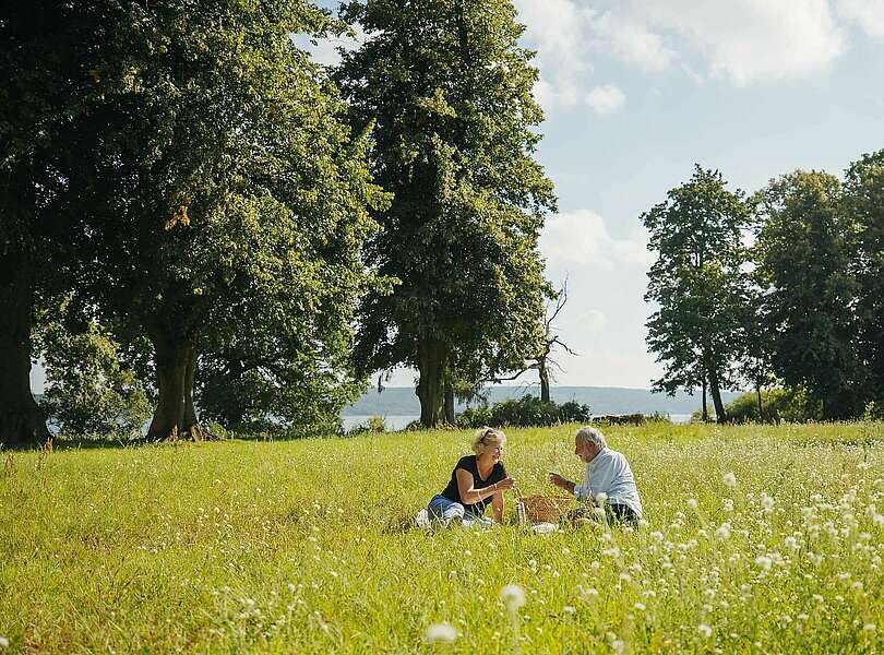 Picknick auf der Blumenwiese