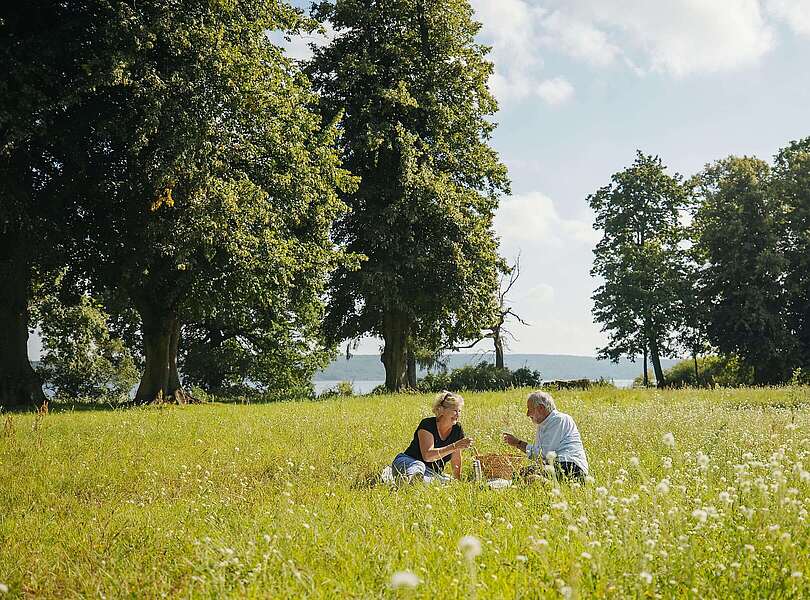 Picknick auf der Blumenwiese