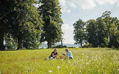 Picknick auf der Blumenwiese