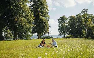 Picknick