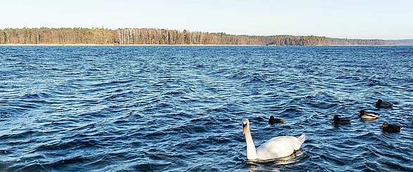 Entspannung pur am Werbellinsee im Winter
