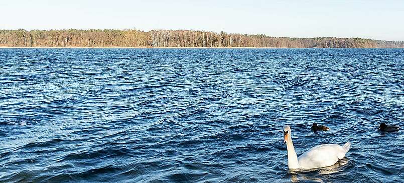 Entspannung pur am Werbellinsee im Winter
