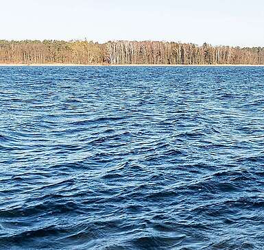 Wintertag am Werbellinsee