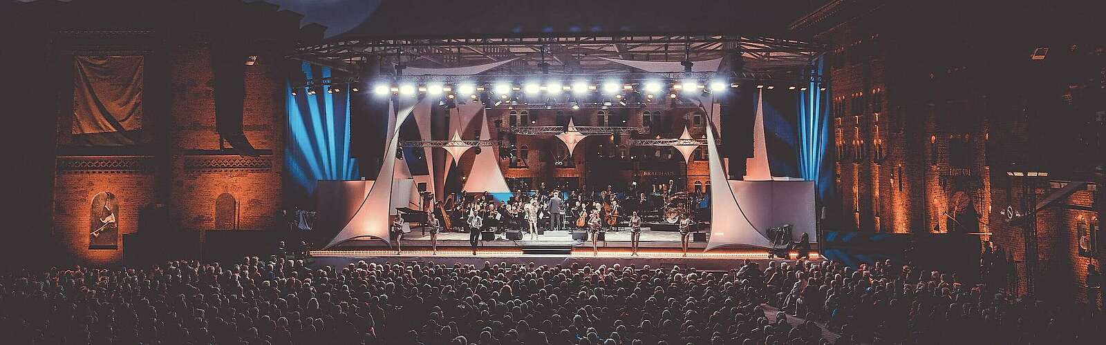 Elblandfestspiele Wittenberge bei Nacht,
            
        
                Foto: prignitzliebe/Anja Möller