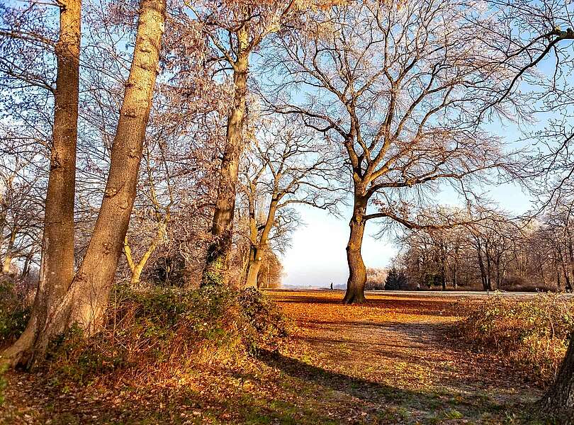 Jogger im Neuen Garten in Potsdam