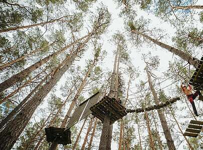 Mutter klettert in den Baumwipfeln im Kletterwald Schorfheide