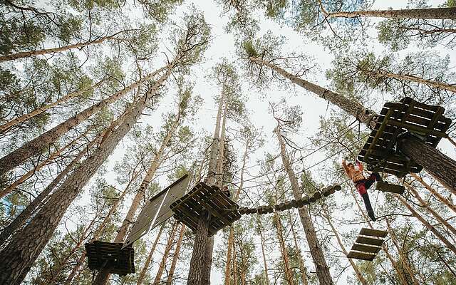 Mutter klettert in den Baumwipfeln im Kletterwald Schorfheide