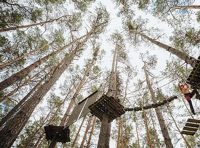 Mutter klettert in den Baumwipfeln im Kletterwald Schorfheide