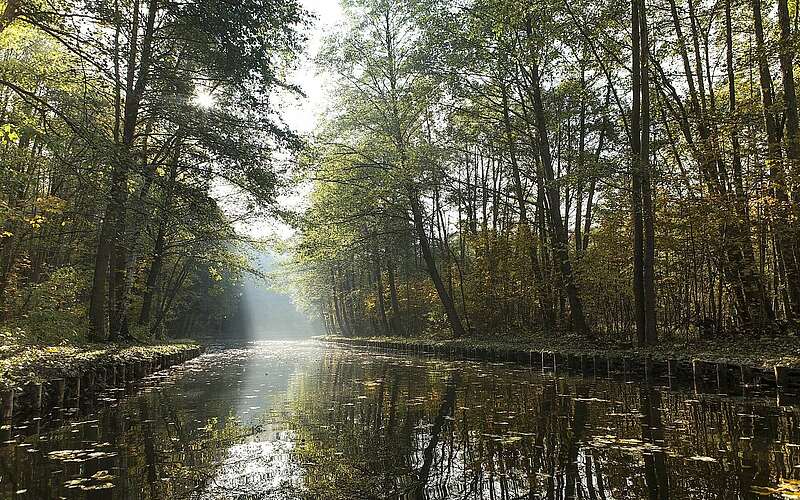 



    
        
                Kanuwanderung im Ruppiner Seenland,
            
        
                Foto: TMB Tourismus-Marketing Brandenburg GmbH/Steffen Lehmann
            
    
