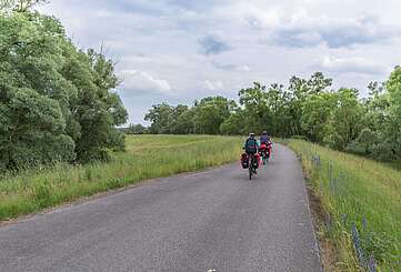 Radfahrer im Nationalpark Unteres Odertal
