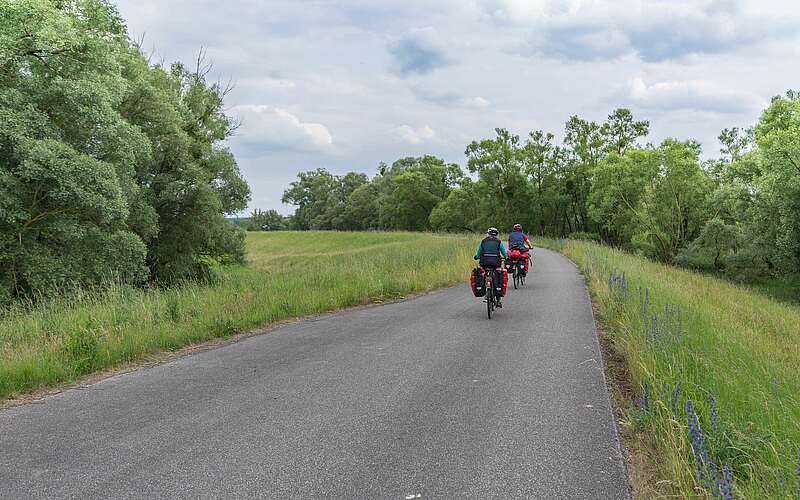 



        
            Radfahrer im Nationalpark Unteres Odertal,
        
    

        Foto: Fotograf / Lizenz - Media Import/Steffen Lehmann
    