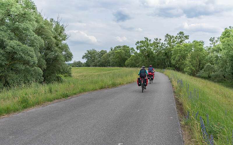 



    
        
                Radfahrer im Nationalpark Unteres Odertal,
            
        
                Foto: TMB Tourismus-Marketing Brandenburg GmbH/Steffen Lehmann
            
    
