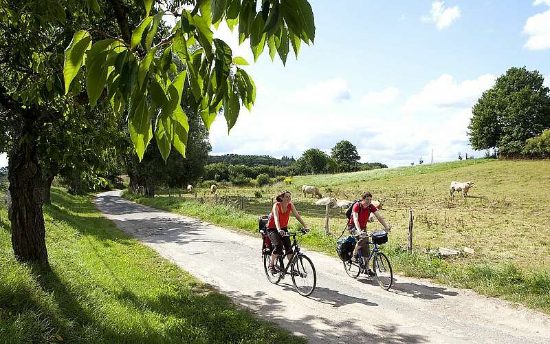 



    
        
                Radler in der Uckermark,
            
        
                Foto: TMB Tourismus-Marketing Brandenburg GmbH und TV Lychen/Paul Hahn
            
    
