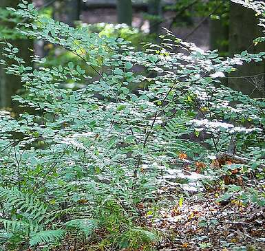 Naturerlebnis