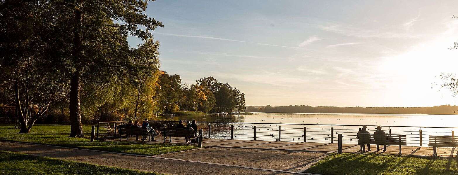 Am Scharmützelsee in Bad Saarow
