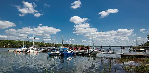 Hafencamp Senftenberger See