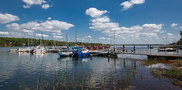 Hafencamp Senftenberger See