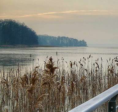 Steg Scharmützelsee