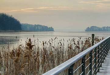 Steg Scharmützelsee