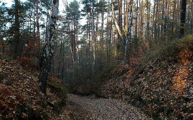 Hohlkehle im Naturpark Niederlausitzer Landrücken