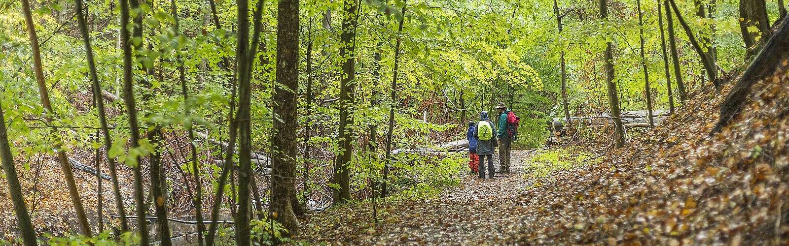 Wandern im Biesenthaler Becken,
            
        
                Foto: TMB Tourismus-Marketing Brandenburg GmbH/Steffen Lehmann