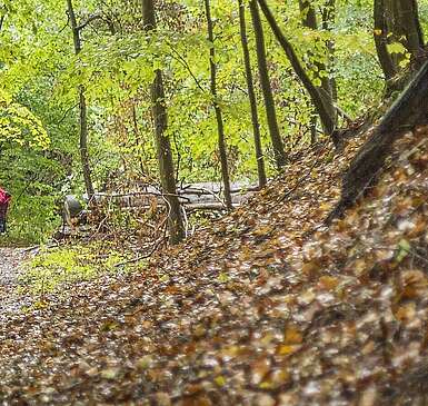 Wanderungen im Naturpark Barnim